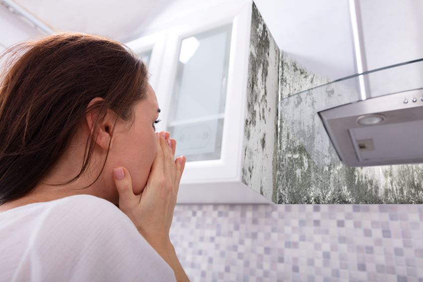 woman-looking-at-mold